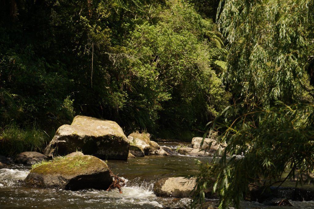 School of Media Photography and Film YWAM Pacific Reach